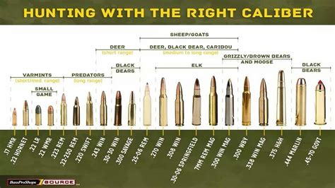 Bullet weight range is from 3. . Worst deer hunting calibers